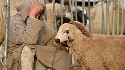 هل يجوز أن أضحي عن شخص متوفى؟ أمين الفتوى يجيب (فيديو)