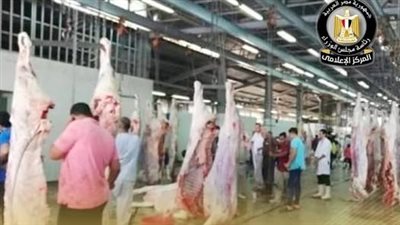 الزراعة: استمرار الإشراف على أعمال ذبح الأضاحي بالمجازر الحكومية وإلغاء الإجازات للأطقم البيطرية خلال العيد