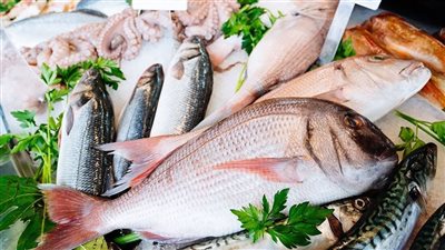 سعر السمك اليوم الأحد ثالث أيام عيد الأضحى