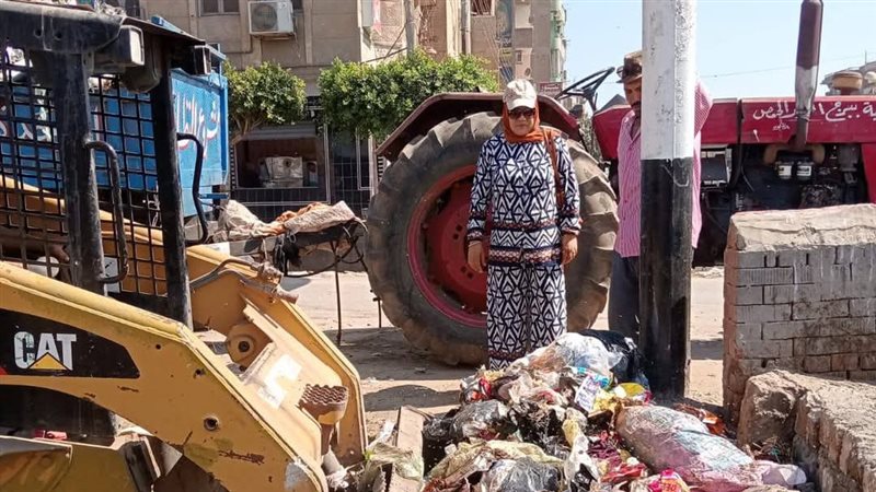 حملات نظافة بالدقهلية