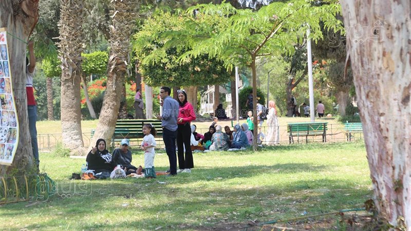 الحديقة الدولية بعيد