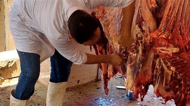 خدمات الذبح المجاني