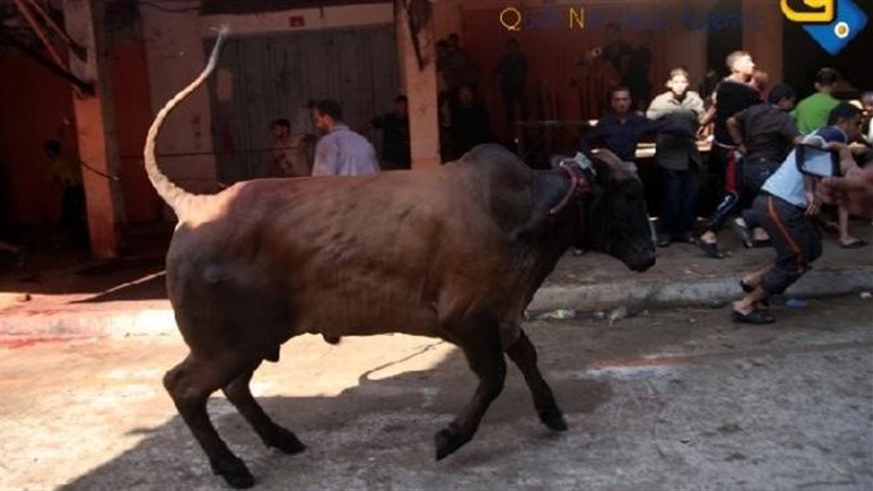 عقوبات التعدي علي