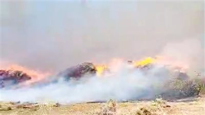 حريق هائل يلتهم مصنع كتان في الغربية (صور)