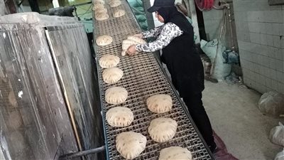 تحرير محاضر تموينية خلال حملات مكبرة على أسواق الإسكندرية