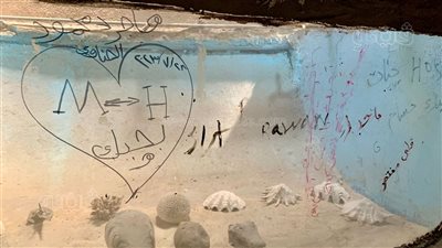 شاهد، قصص العشاق على ألواح الزجاج تجذب الأنظار باحتفالات العيد في جنينة الأسماك