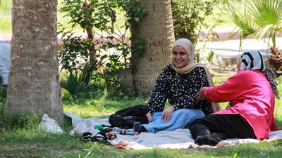 المصريون يحتمون بظلال الأشجار من الحرارة المرتفعة في ثالث أيام العيد (صور)