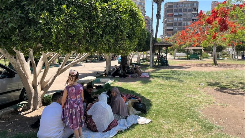 حديقة شجرة الدر بالمنصورة،