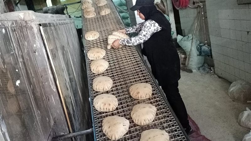 الاسكندريه 