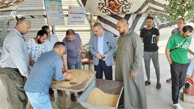 توريد 271 ألف طن من محصول القمح في الدقهلية (صور)