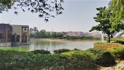 حديقة الأزهر، من مقلب قمامة إلى سيمفونية بيولوجية في قلب القاهرة التاريخية (فيديو وصور)