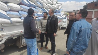 توريد 593 ألف طن قمح لشون وصوامع الشرقية منذ بدء موسم الحصاد