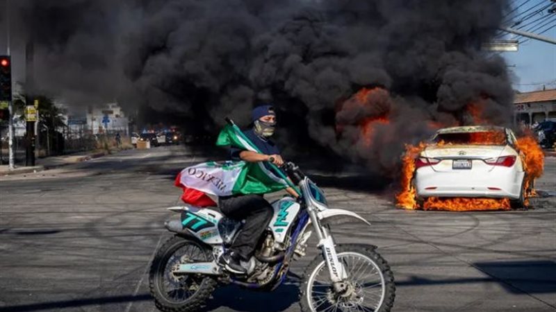 لوس أنجلوس، فيتو