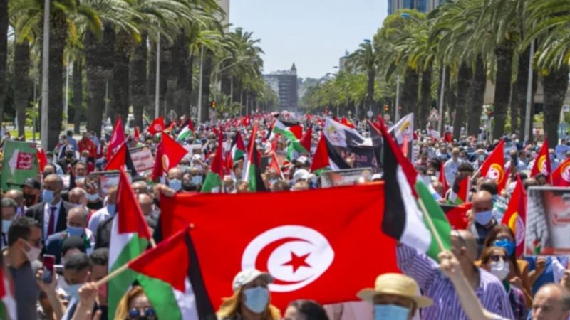 قافلة الصمود، فيتو