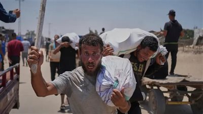 الأمم المتحدة: مسلحون وجوعى استولوا على معظم الطحين المنقول لغزة 