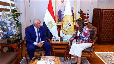 وزيرة التنمية المحلية تتابع مع محافظ الوادي الجديد الموقف التنفيذي للمشروعات التنموية 