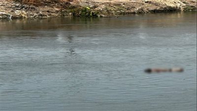 العثور على جثة طفل طافية بمياه النيل في المعصرة