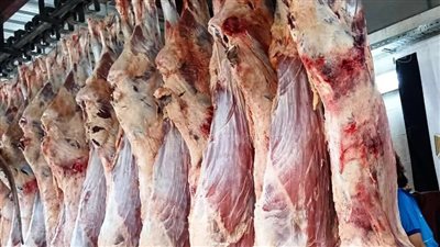 ذبح 3169 رأس من الماشية داخل 13 مجزرا بأسوان خلال عيد الأضحى (صور) 