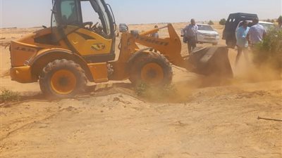 إزالة 135 حالة تعدٍ على الأراضي بالوادي الجديد 