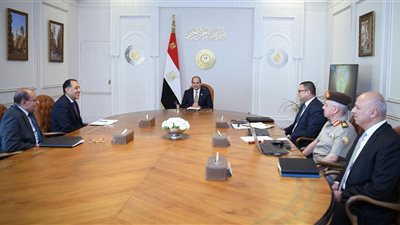 السيسي يجتمع برئيسي الحكومة والهيئة الهندسية ووزير الإسكان (فيديو)