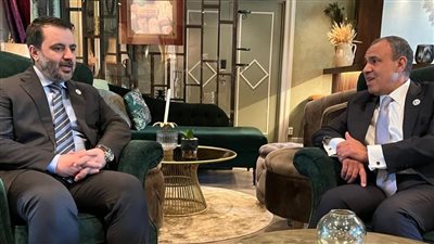 بدر عبد العاطى يؤكد لنظيره السوري أهمية مكافحة الإرهاب والتعامل مع ظاهرة المقاتلين الأجانب