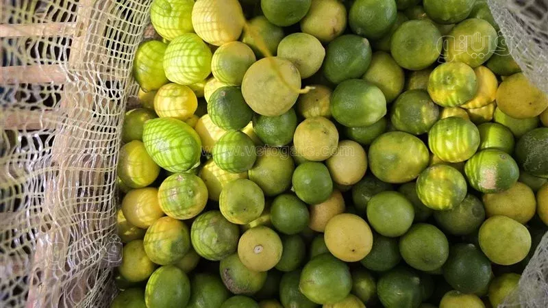 الليمون في سوق الجملة،