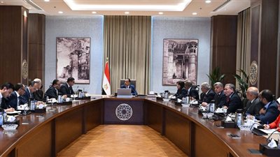 مدبولي يتابع خطط التوسع في مشروعات تحلية مياه البحر وتوطين صناعتها 