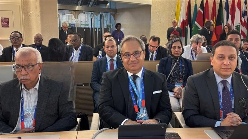 وفد عمل مصر 