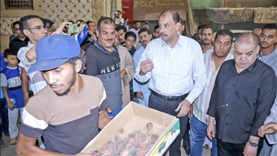 محافظ سوهاج يتفقد الخدمات المقدمة للمواطنين ويوجه برفع الإشغالات