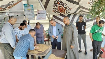 توريد 292 ألف طن قمح لشون وصوامع الدقهلية 