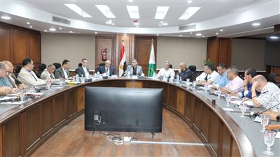 محافظ الجيزة: انتهاء مشروعات الخطة الاستثمارية بنسبة 100% 