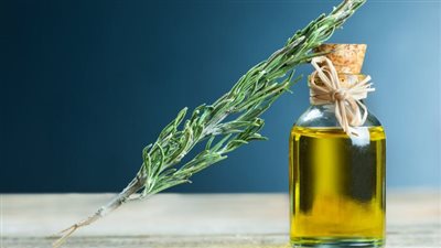 6 فوائد صحية لزيت إكليل الجبل، والطريقة الصحيحة لاستخدامه