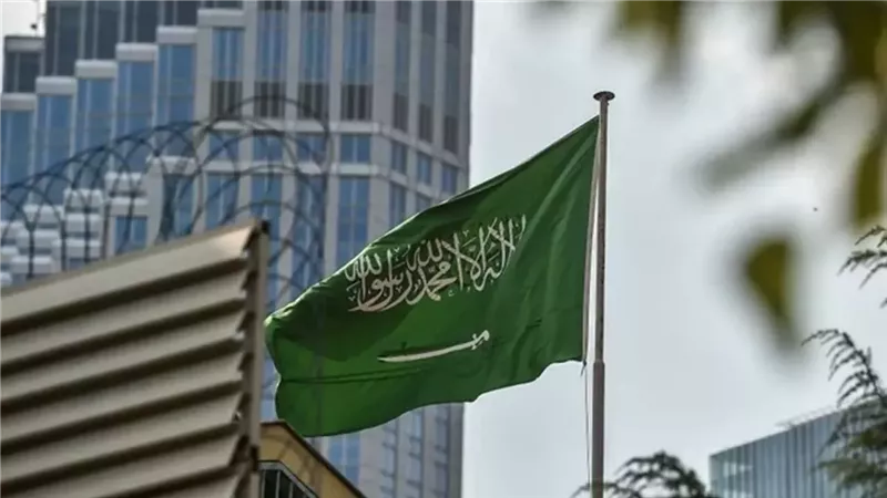 السعودية،فيتو