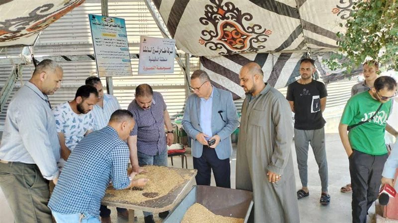 توريد القمح بالدقهلية،