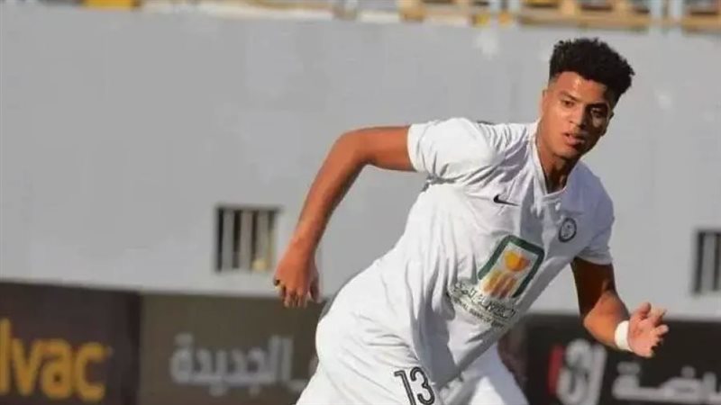 أحمد ربيع، فيتو