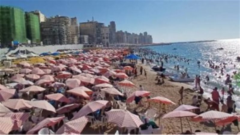 الاسكندريه 