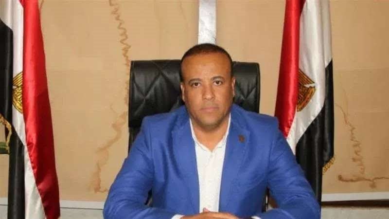 نائب رئيس الحزب الناصري،