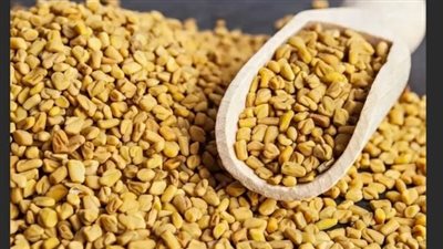 فوائد الحلبة لمرضى السكري والقلب ولجمال البشرة والشعر