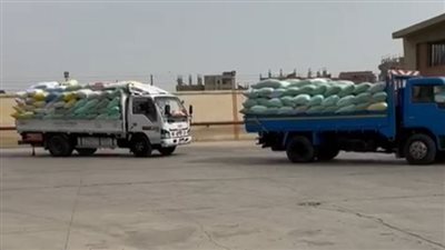 توريد 596 ألف طن قمح بصوامع الشرقية