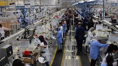 شعبة القطن تكشف عن خطة استراتيجية متكاملة للنهوض بالصناعة الوطنية