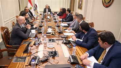 وزير قطاع الأعمال يبحث مع 