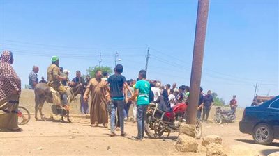 مصرع طفلين غرقًا أثناء الاستحمام بترعة محلة روح في طنطا