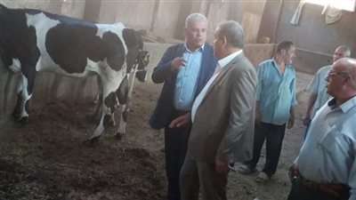 الإصلاح الزراعى: رفع كفاءة مشروع العجلات العشار والحلاب وسلالات التسمين