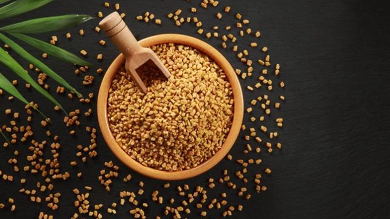 الحلبة 
