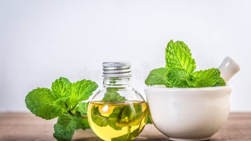 فوائد زيت النعناع،