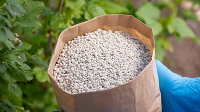  تباين أسعار الأسمدة في الأسواق اليوم الأحد 