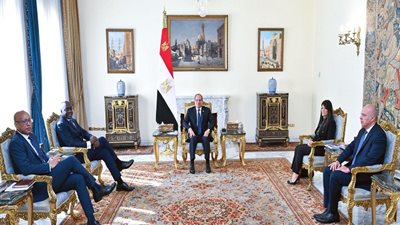 السيسي يستقبل الرئيس التنفيذي لمؤسسة التمويل الدولية.. الرئيس يؤكد حرص مصر على زيادة دور القطاع الخاص في النشاط الاقتصادي والتنمية.. وتقديم العديد من التسهيلات الضريبية والجمركية