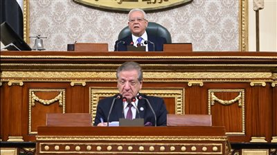 مطالب برلمانية بحوكمة الدعم والتحول للنقدي ومواجهة الزيادة السكانية وتعظيم الإيرادات 