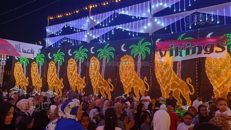 حنة ناصر منسي، فيتو