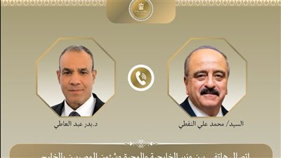 وزير الخارجية ونظيره التونسي يبحثان التطورات المتلاحقة على الساحة الإقليمية